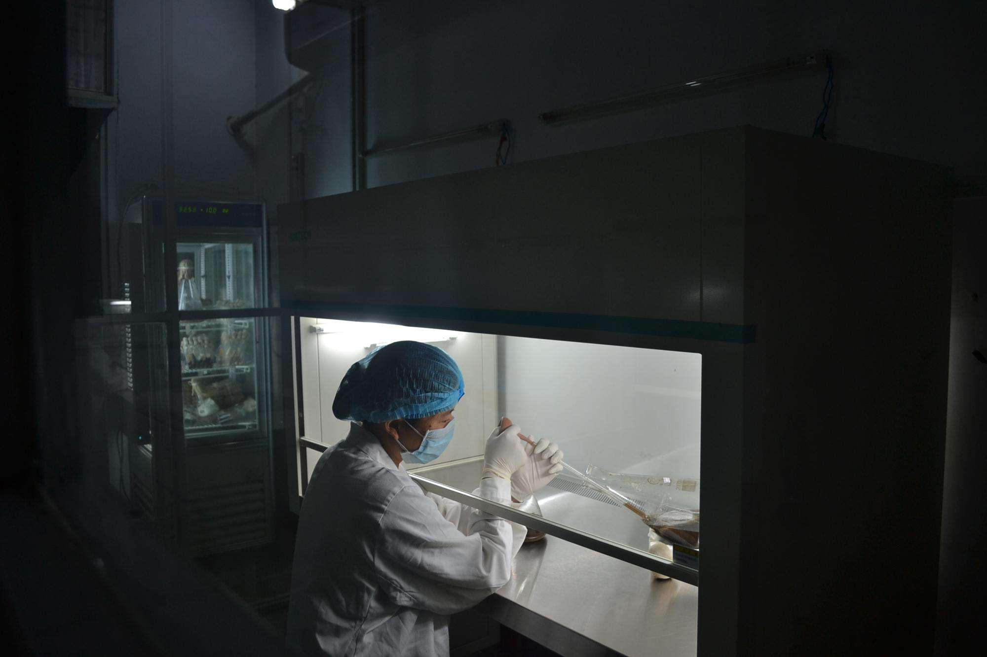 無菌操作時(shí)超凈工作臺需要準(zhǔn)備什么?